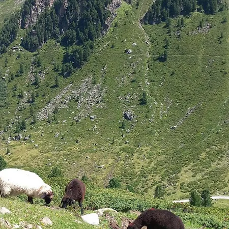 Goetzner Auszeit Διαμέρισμα *
