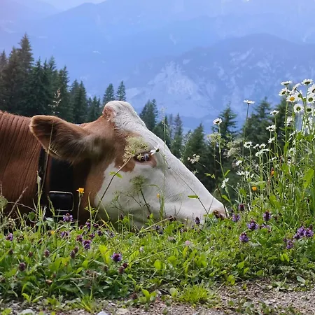 Διαμέρισμα Goetzner Auszeit