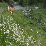 Goetzner Auszeit