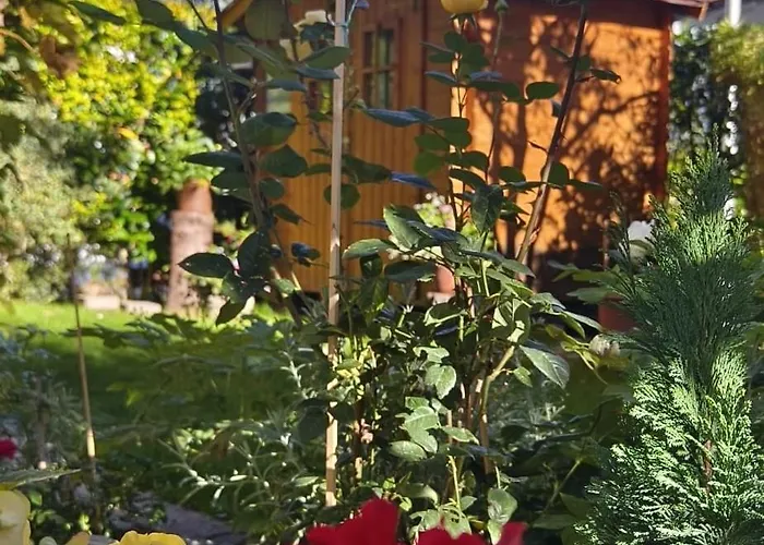 Goetzner Auszeit *